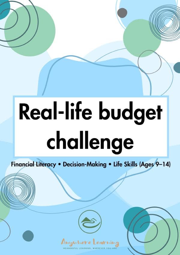 Budget Challenge